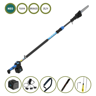 campagnola_t-rex-860654_result